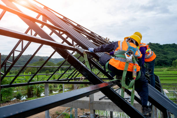 Professional Roofing Contractor in Cortland, IL