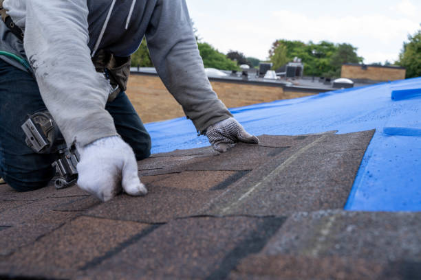 Quick and Trustworthy Emergency Roof Repair Services in Cortland, IL